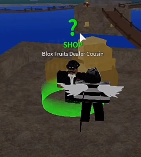 Blox Fruits Dealer Cousin